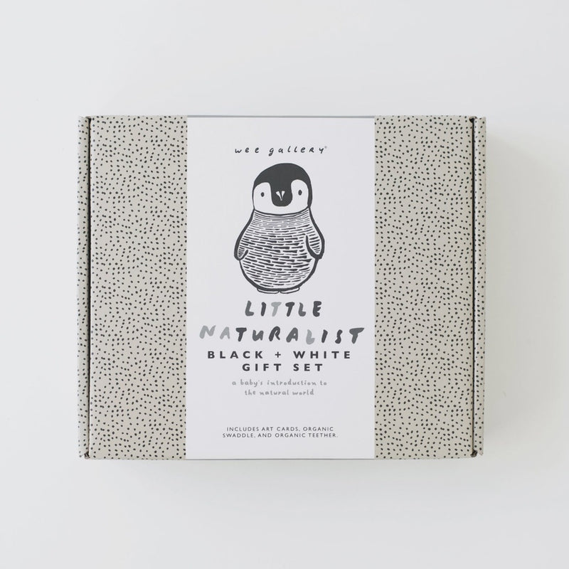 Little Naturalist Gift Set