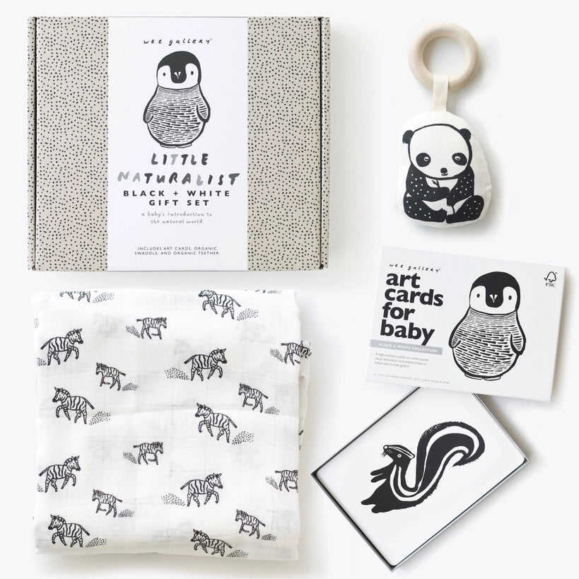 Little Naturalist Gift Set