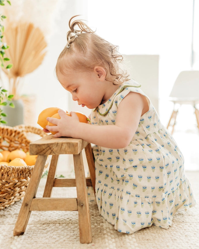 Peter Pan Collar Floral Baby Flare Dress & Bloomer