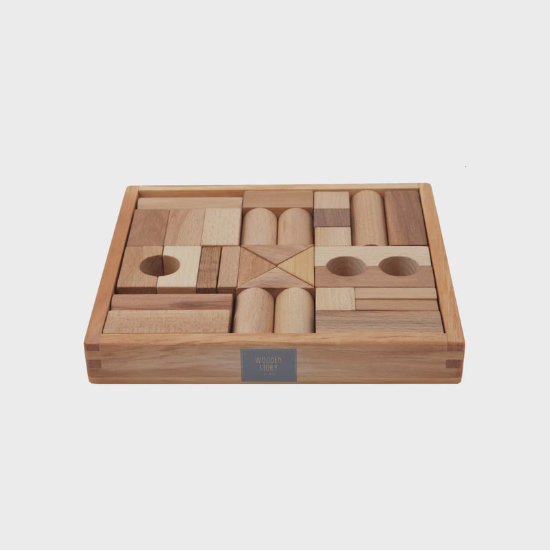 Wooden Blocks in Tray 30 piece