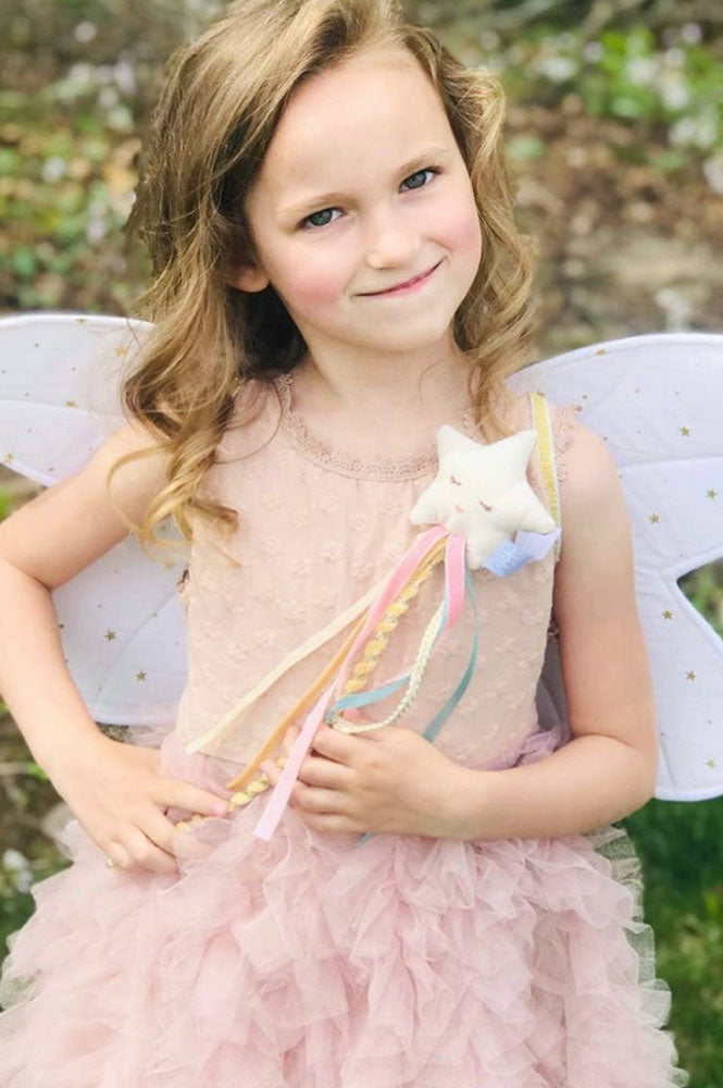 Fairy Wings and Star Magic Wand Dress Up Set