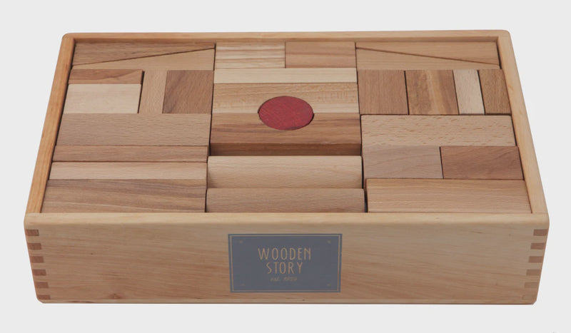 Wooden Blocks in Tray - 63 Piece