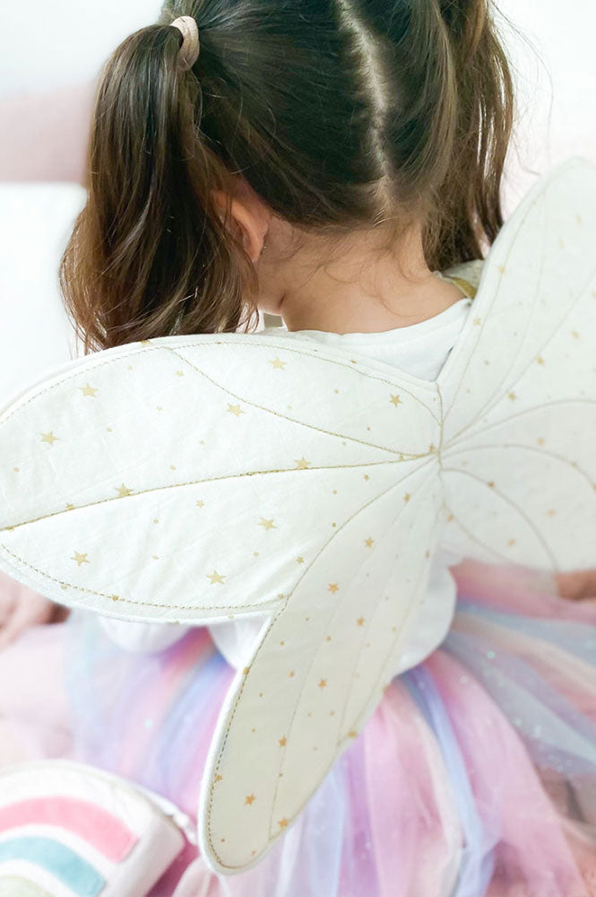 Fairy Wings and Star Magic Wand Dress Up Set